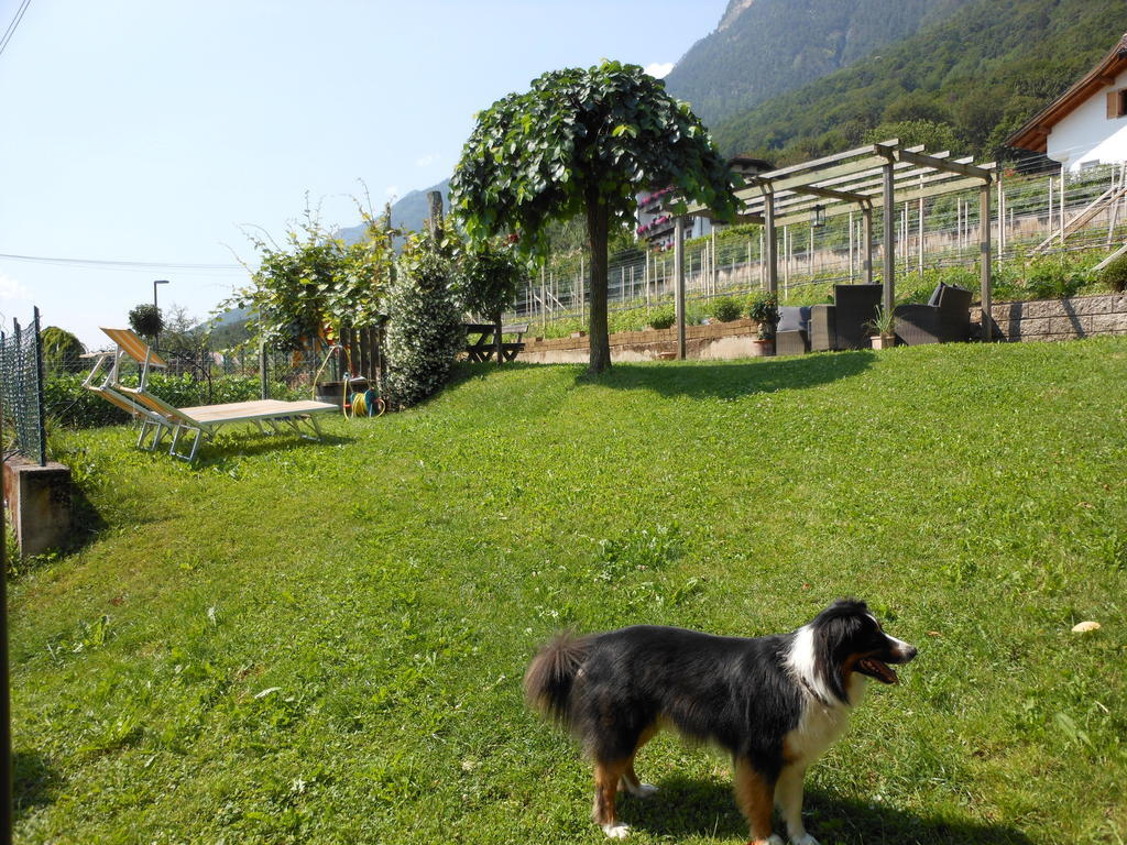 Apartamento Haus Tirol Caldaro sulla Strada del Vino Exterior foto