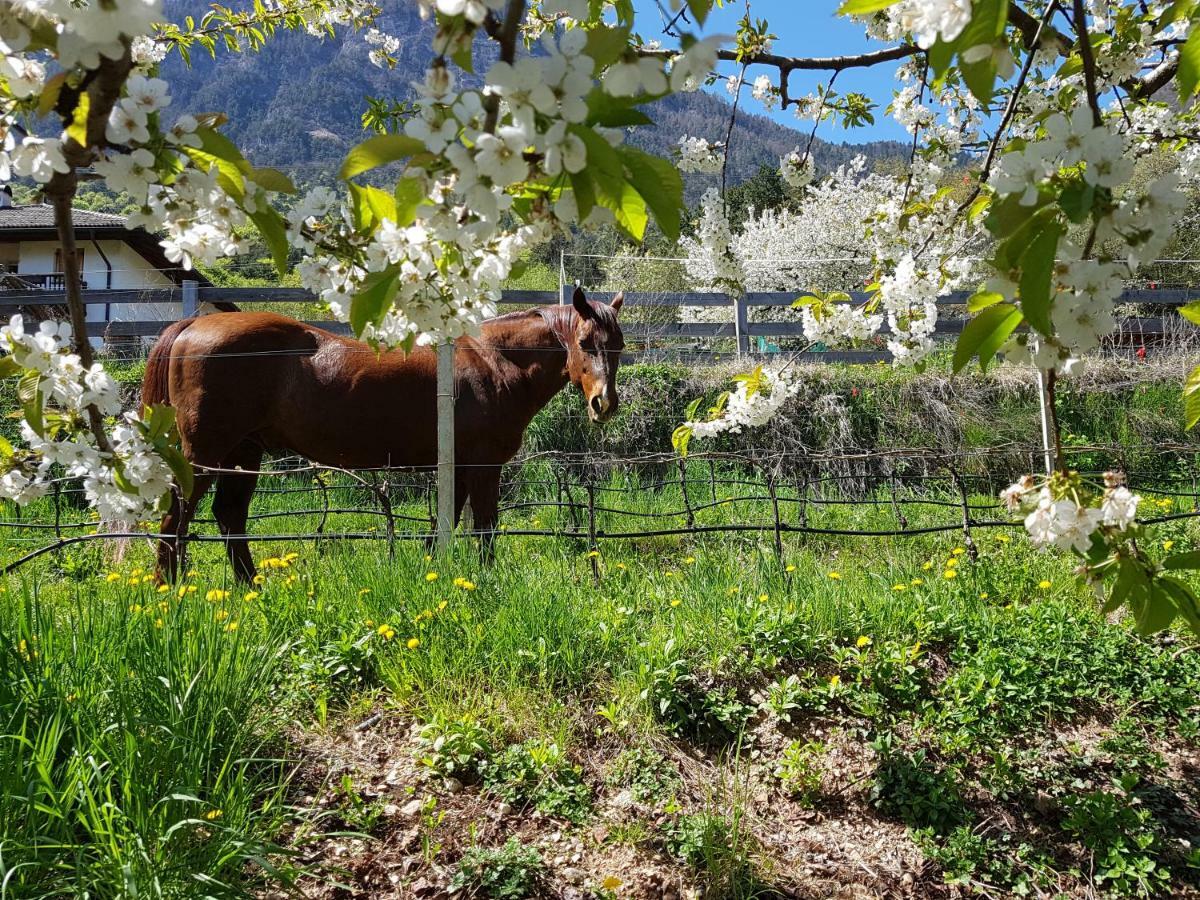 Apartamento Haus Tirol Caldaro sulla Strada del Vino Exterior foto